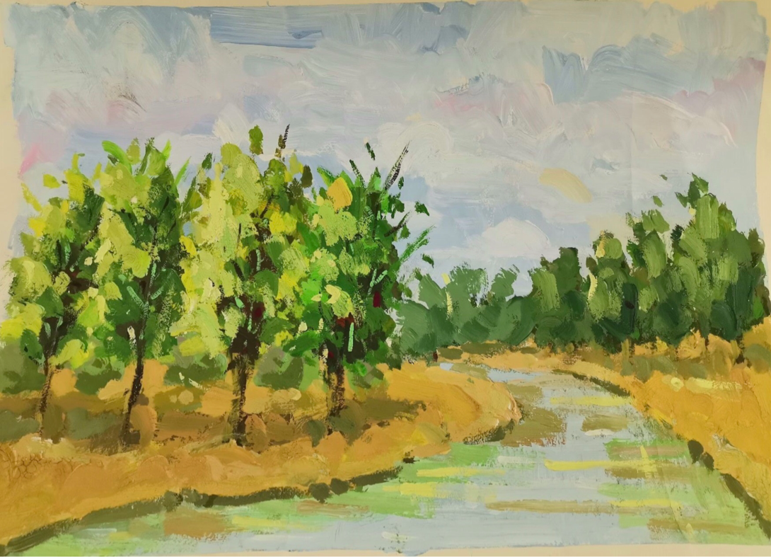 图片5.png 图片5.png