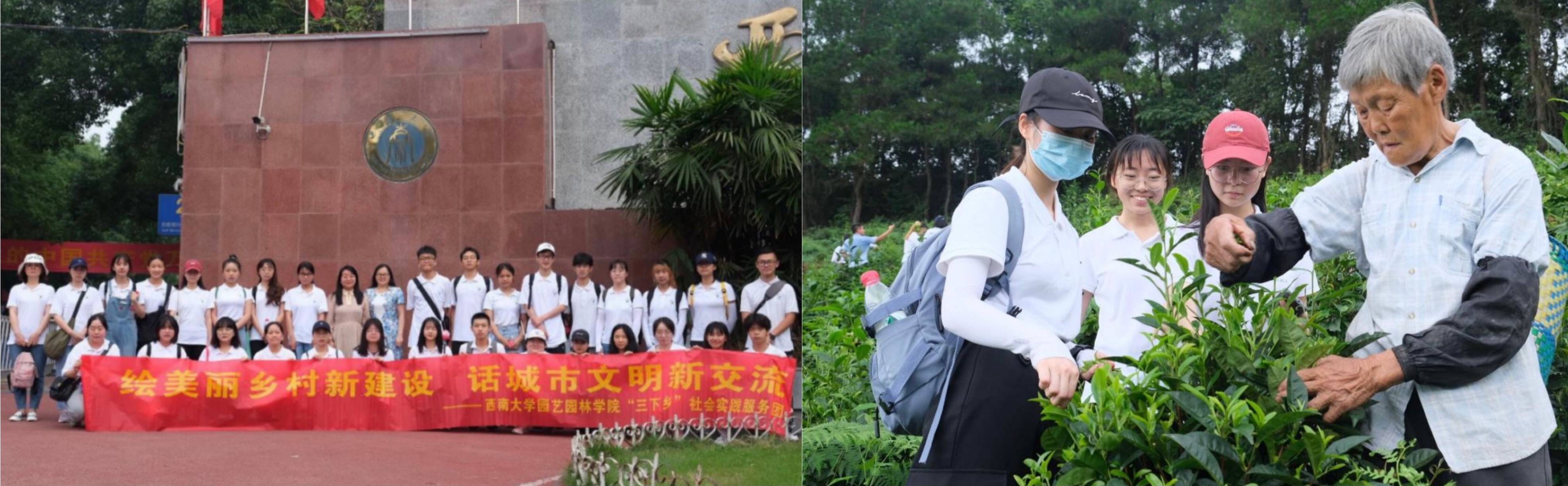 图片6.png 图片6.png