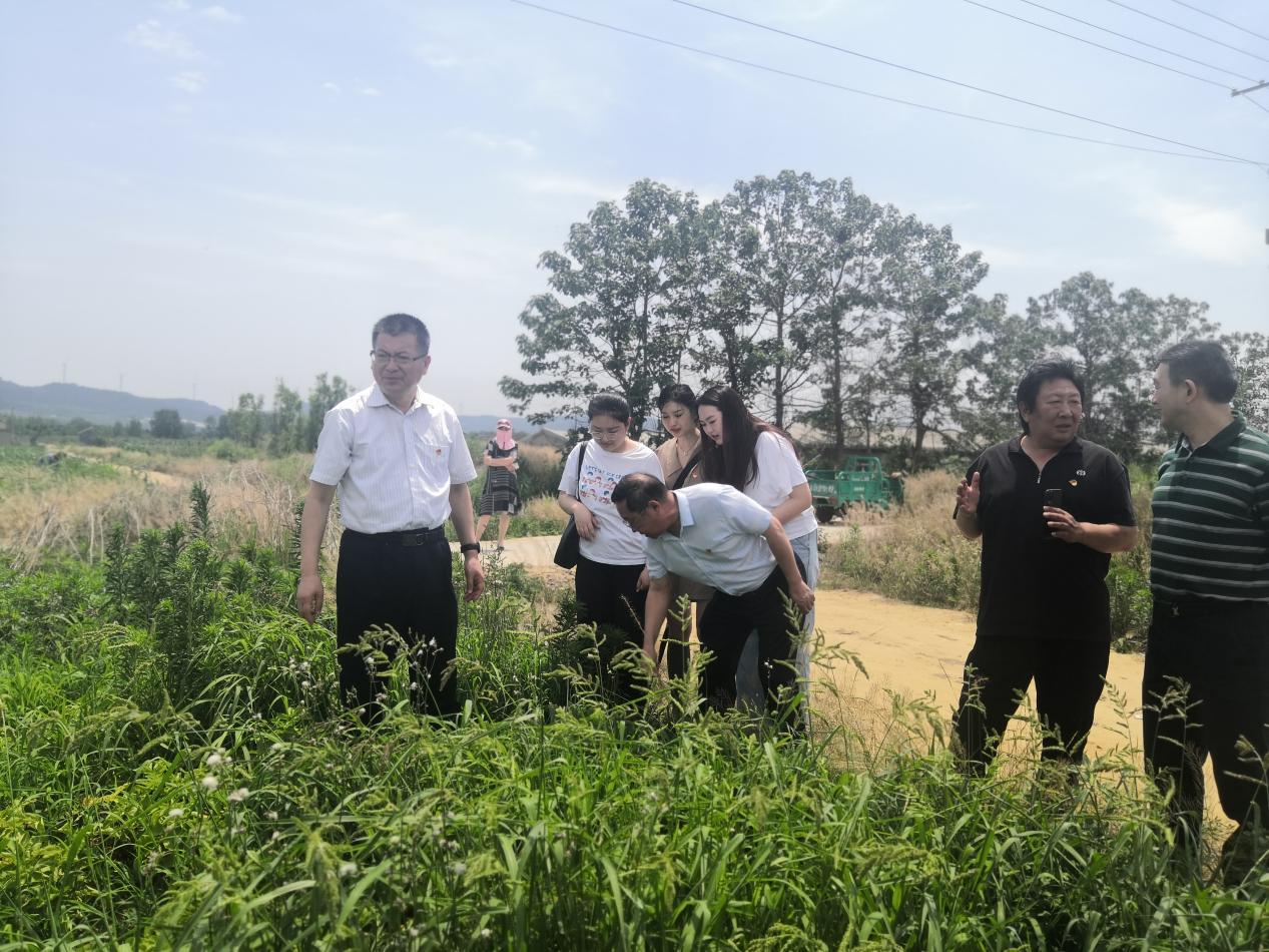 image009.jpg image009.jpg