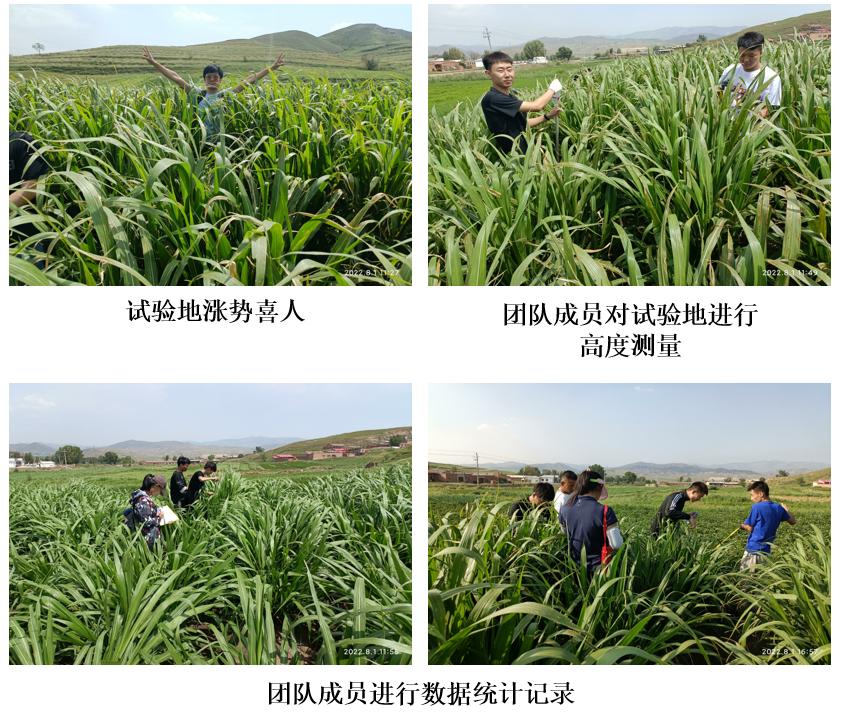 试验地现场图片.jpg 试验地现场图片.jpg