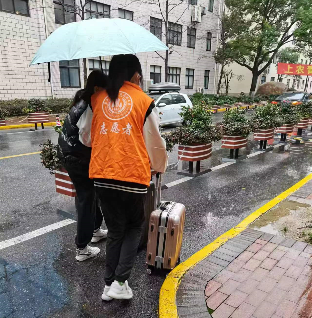 8afb2d98-20c1-412e-90bb-e958daed4e67_d.jpg 8afb2d98-20c1-412e-90bb-e958daed4e67_d.jpg