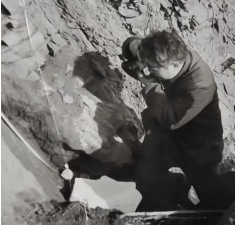 09BB23795DD19E546F355AD985D_5F2E9CC4_15488 09BB23795DD19E546F355AD985D_5F2E9CC4_15488