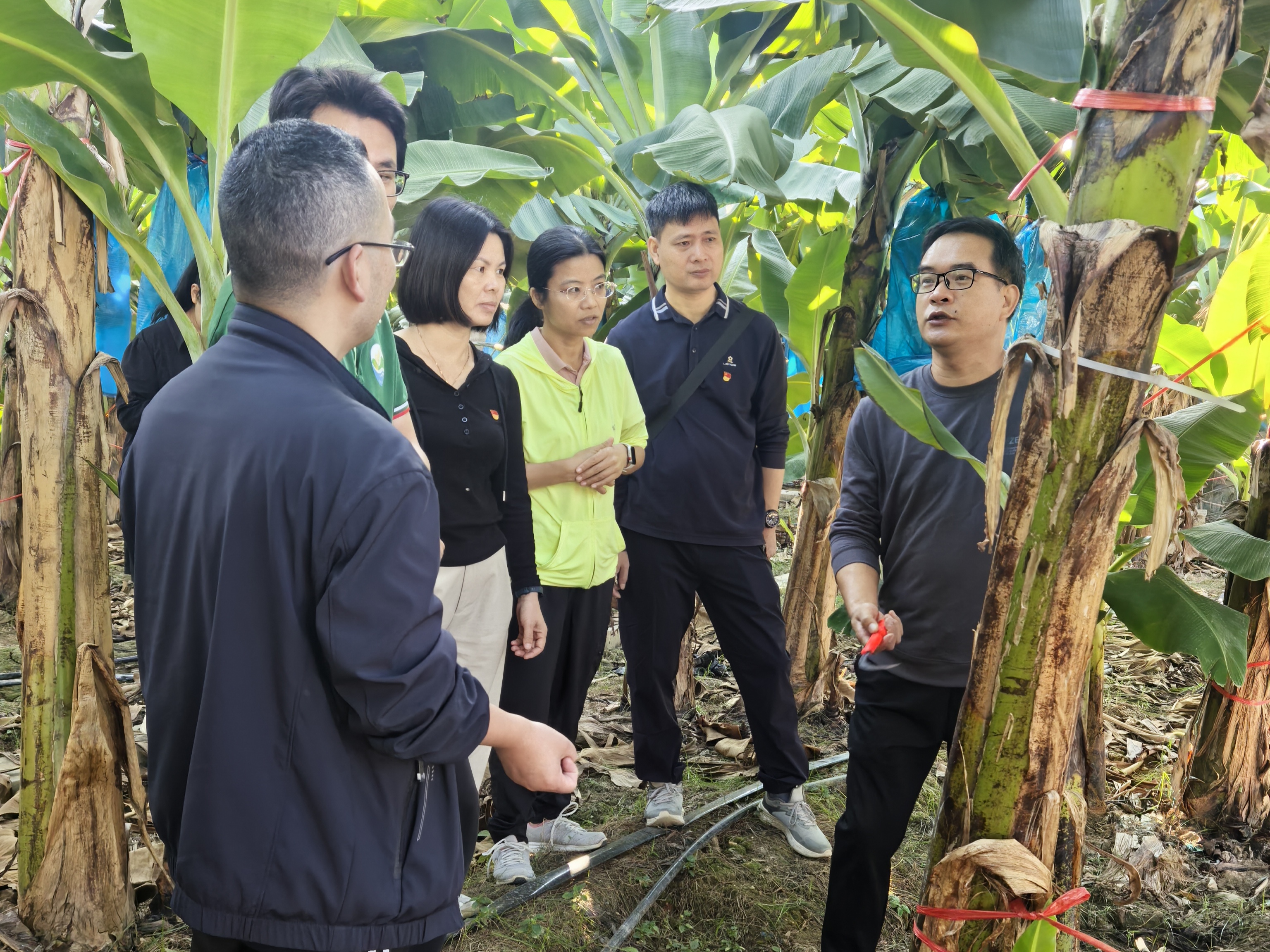 副站长黄挺讲解节水灌溉技术的应用 副站长黄挺讲解节水灌溉技术的应用