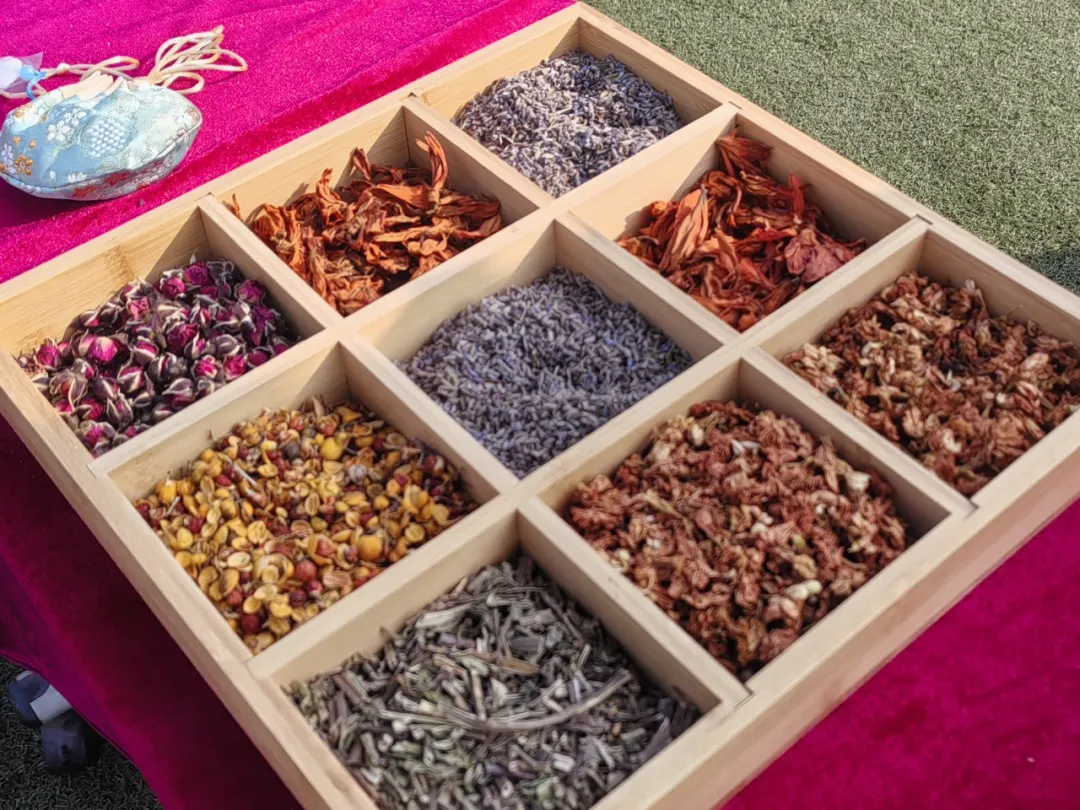 文化节9 文化节9