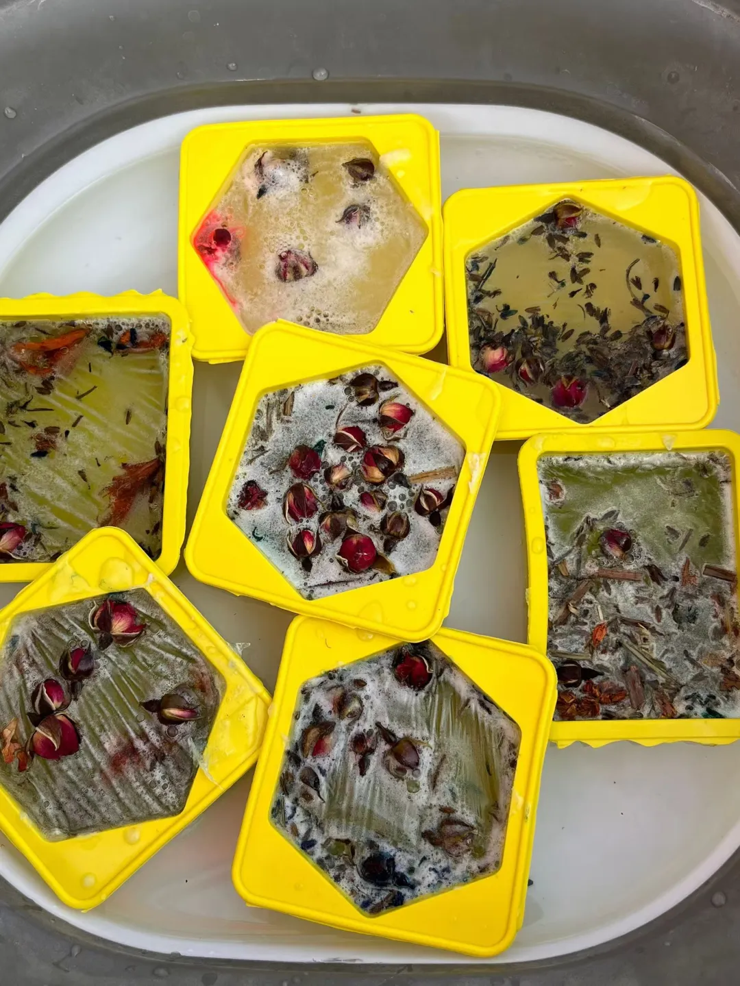 文化节3 文化节3