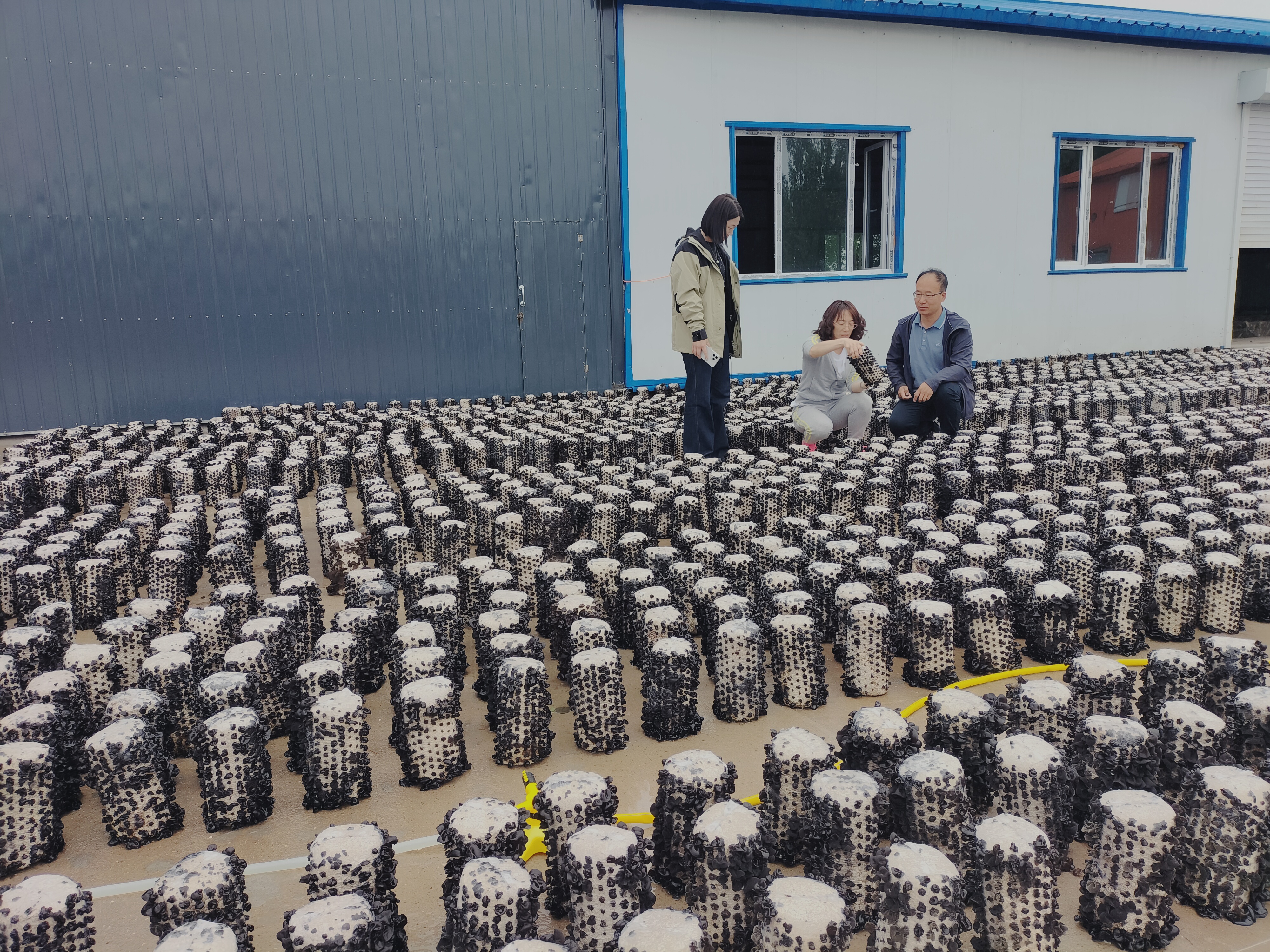 微信图片_20240615211644 微信图片_20240615211644