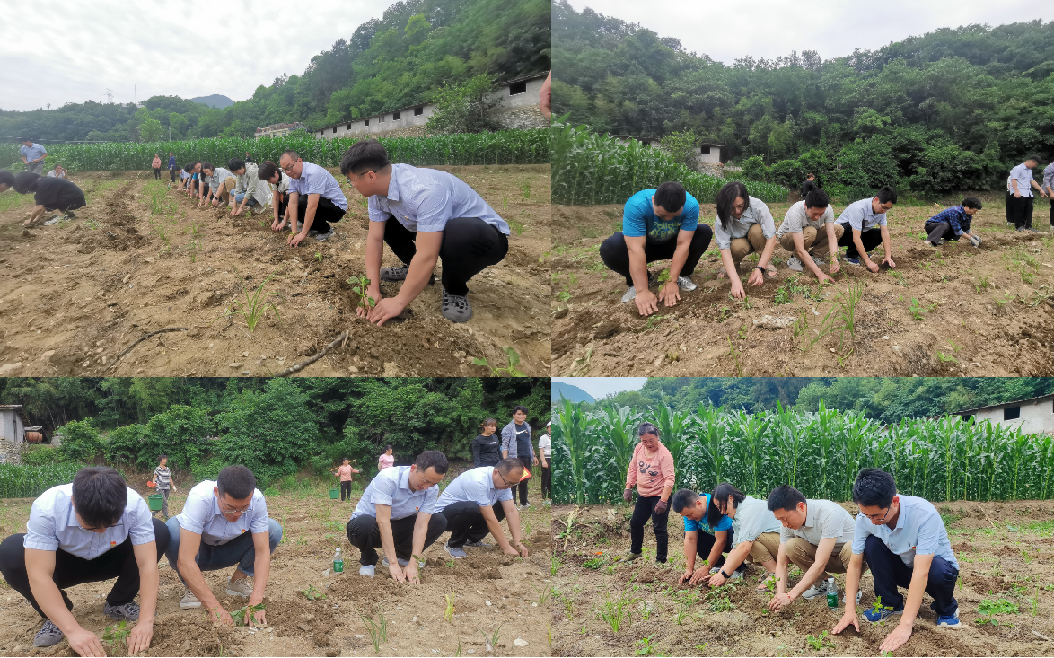 微信图片_20241226111823 微信图片_20241226111823