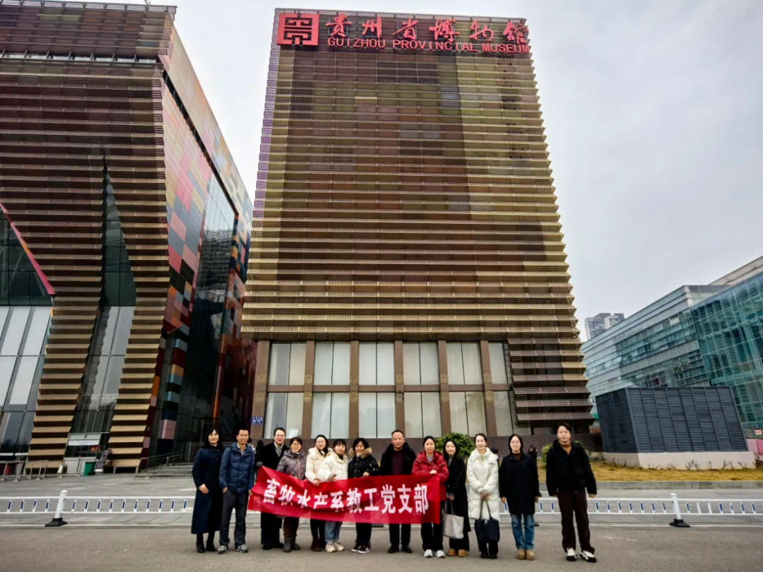 博物馆活动1 博物馆活动1