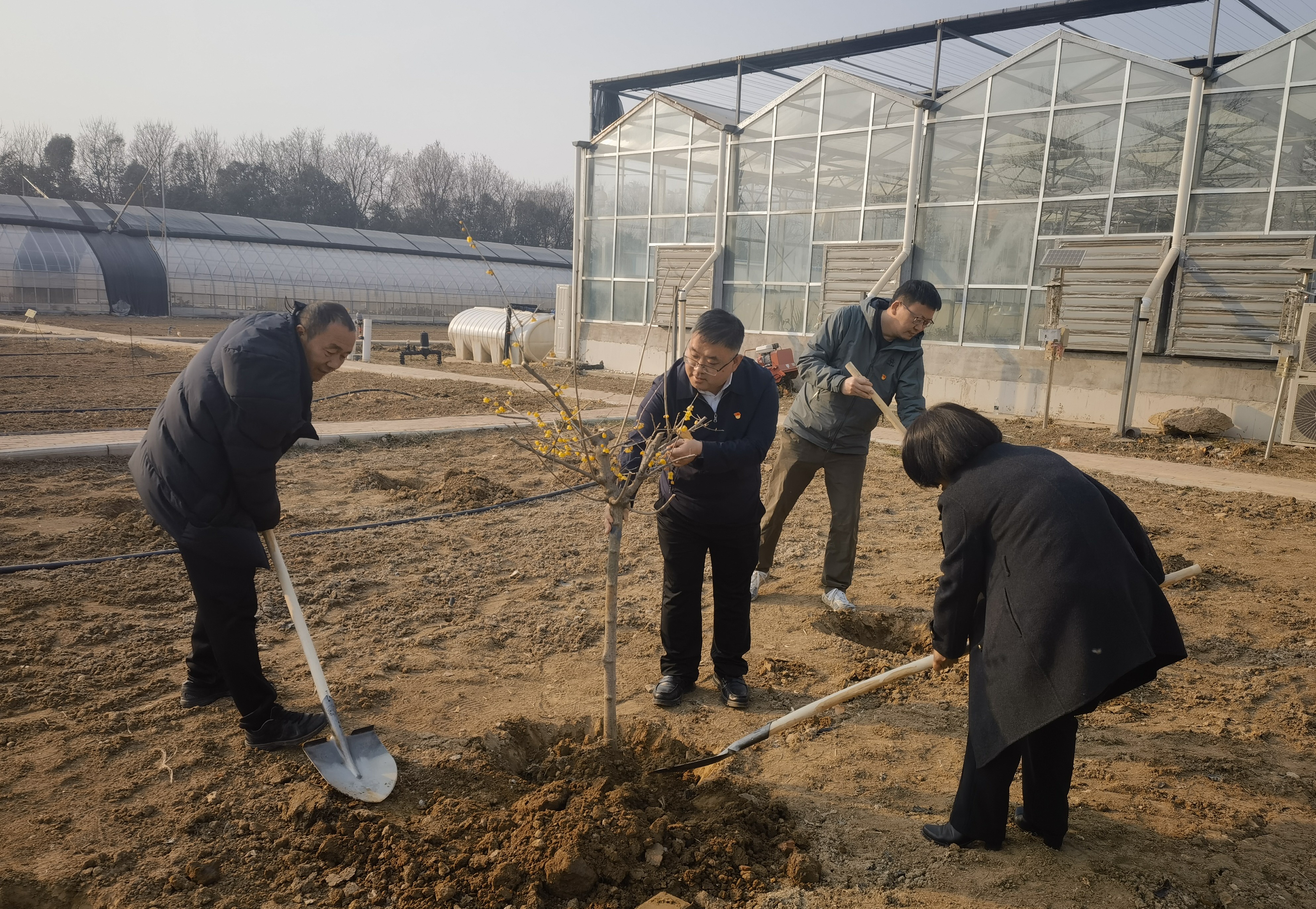 微信图片_20250221084234 微信图片_20250221084234