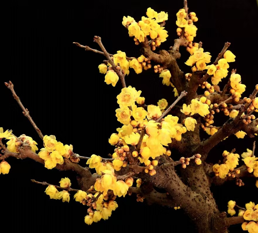 微信图片_20250221084120 微信图片_20250221084120