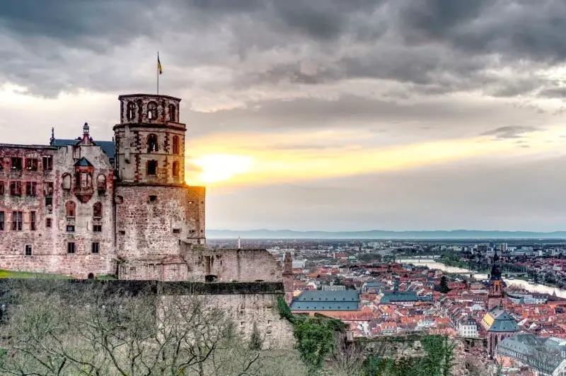 640.webp (31).jpg 640.webp (31).jpg