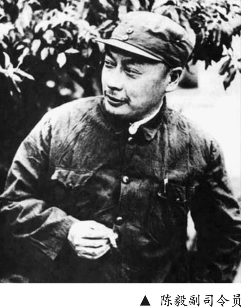 陈毅副司令员.jpg 陈毅副司令员.jpg