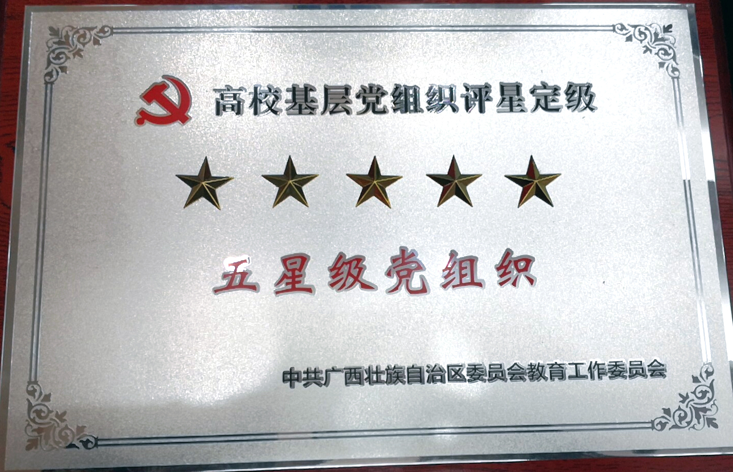 广西区高校基层党组织评星定级“五星级党组织”.png 广西区高校基层党组织评星定级“五星级党组织”.png