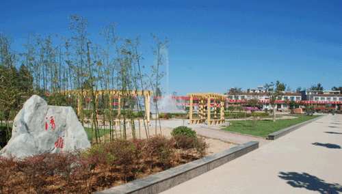 图片20.png 图片20.png