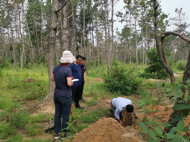 4ace915725ad7750c2c3f8d3db1e98a.jpg 4ace915725ad7750c2c3f8d3db1e98a.jpg