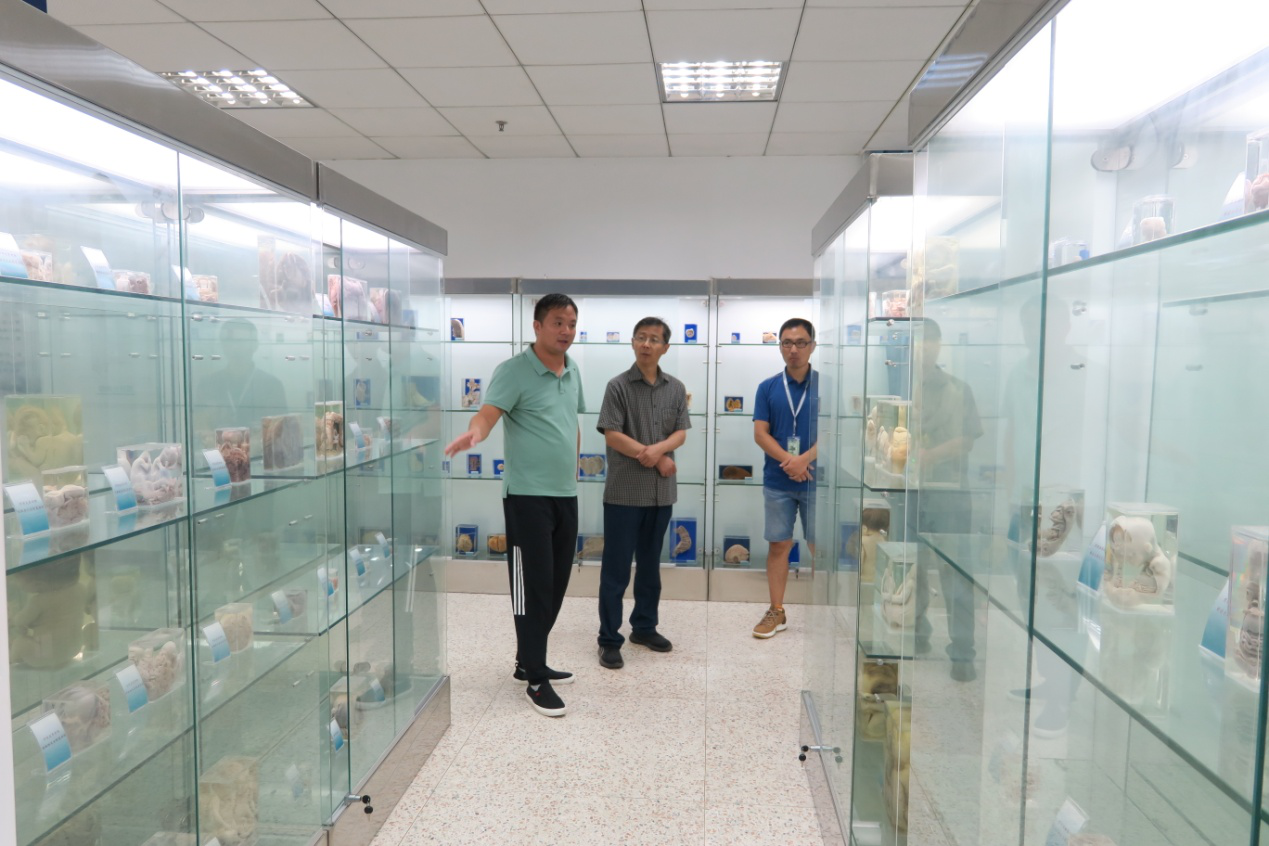 图片5.png 图片5.png