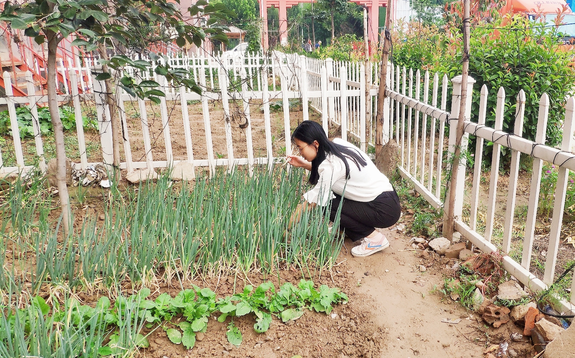 IMG_8244(20200907-195629).JPG IMG_8244(20200907-195629).JPG