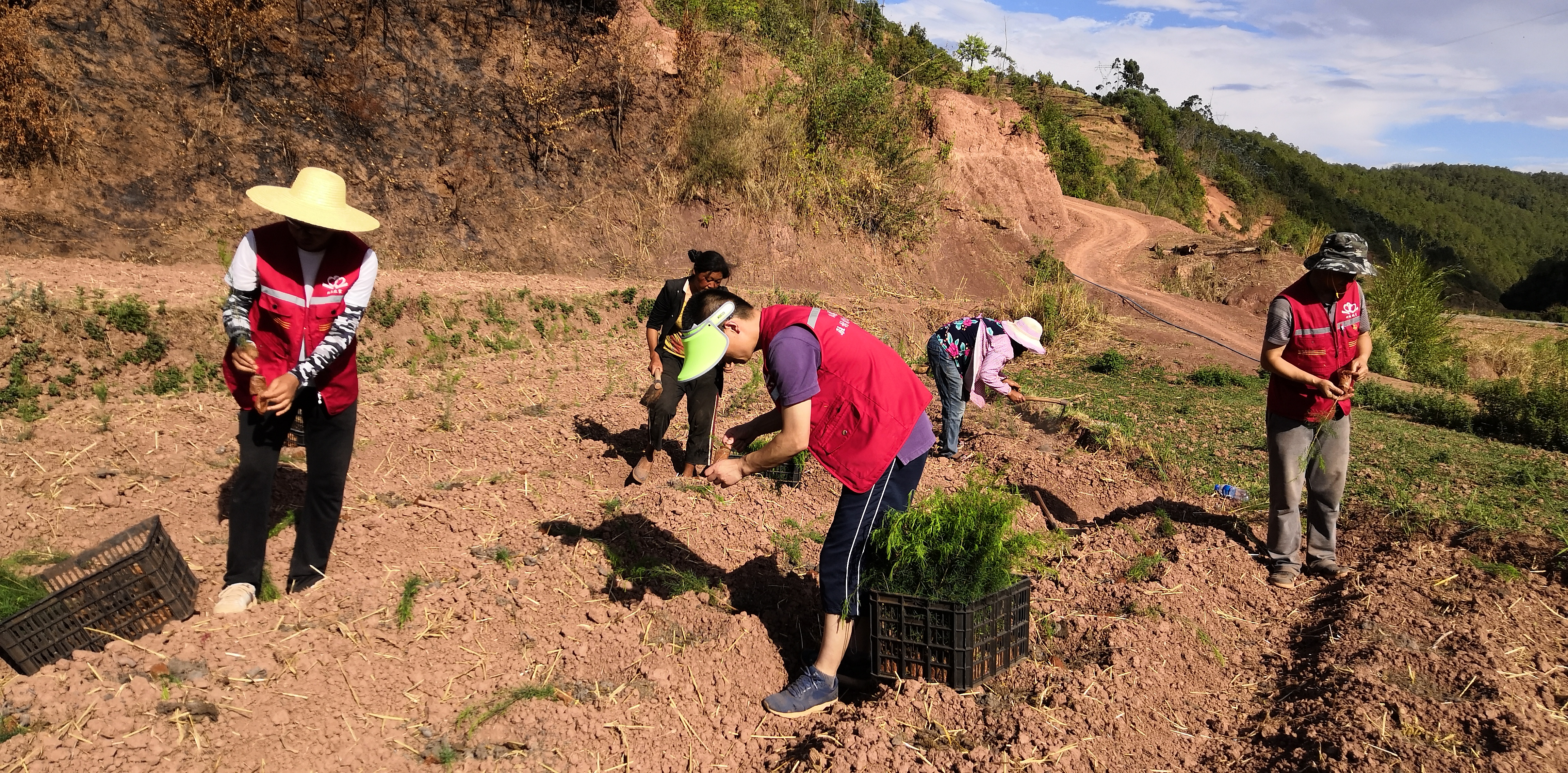 IMG_20190613_172518.jpg IMG_20190613_172518.jpg