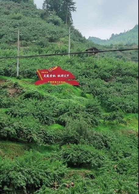 微信图片_20201201102827.jpg 微信图片_20201201102827.jpg