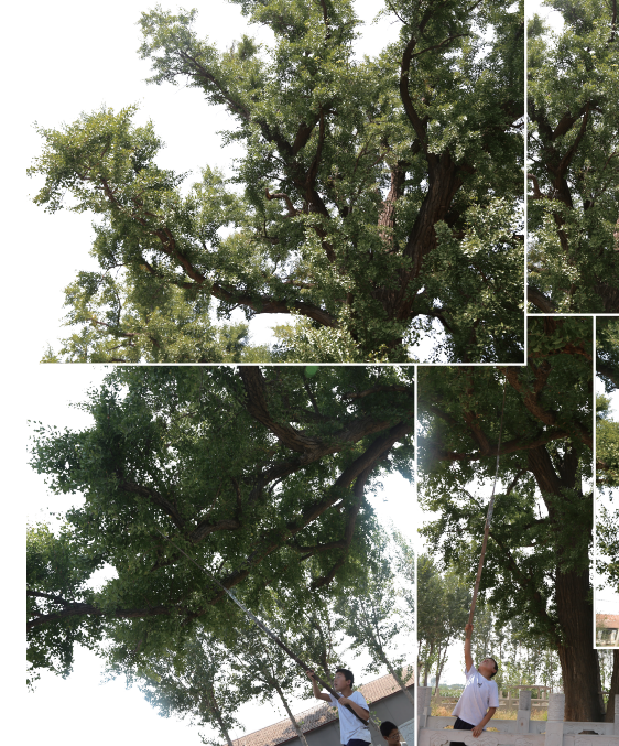 M}(5}$I2Y2JU`SL03`7{N1W.png M}(5}$I2Y2JU`SL03`7{N1W.png