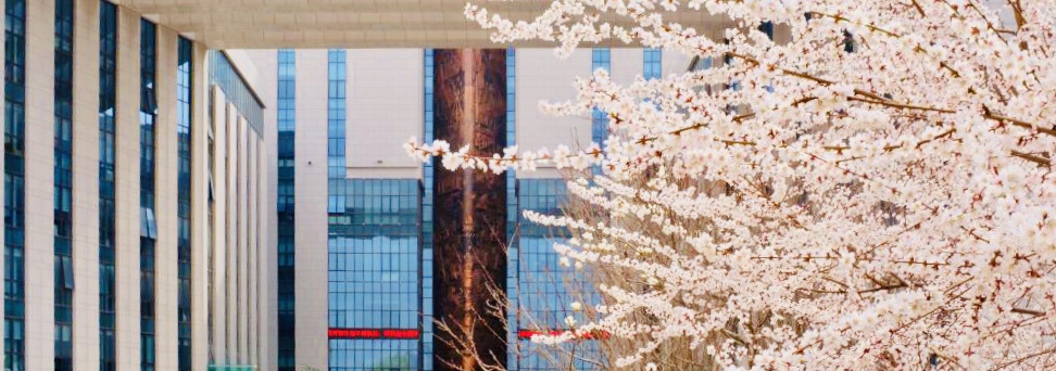 436618.jpg 436618.jpg