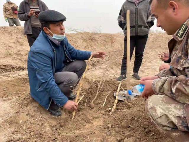 aa22158e-d539-44ef-8eef-3ad7db7d7b0f.jpg aa22158e-d539-44ef-8eef-3ad7db7d7b0f.jpg