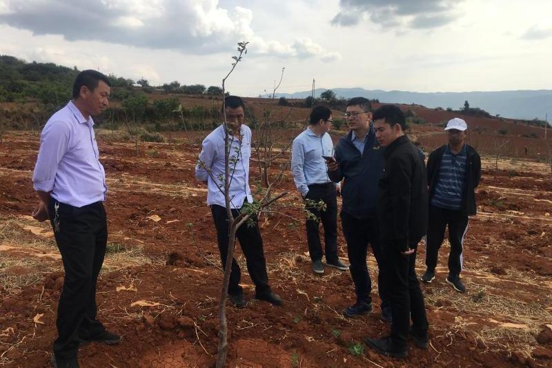 20210508_063337_966.jpg 05.jpg