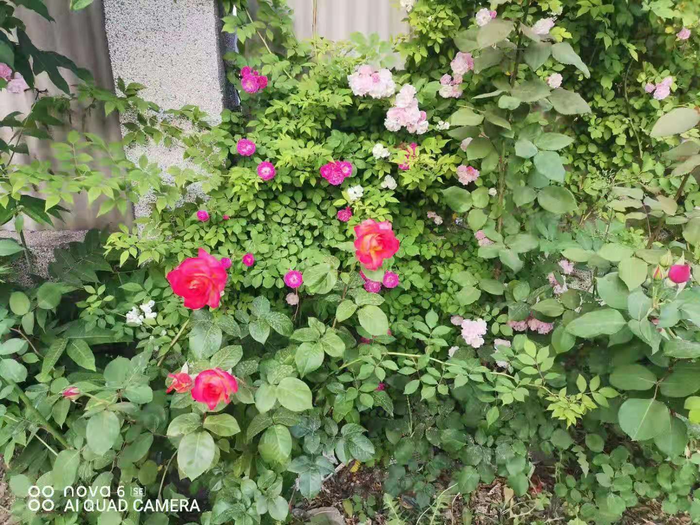 771256f724ab4a77829e60c9a1821ec7.jpg 771256f724ab4a77829e60c9a1821ec7.jpg