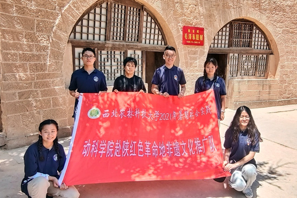 be99987e3ce84e34b9af17e0a2e702dd.png 图片10.png