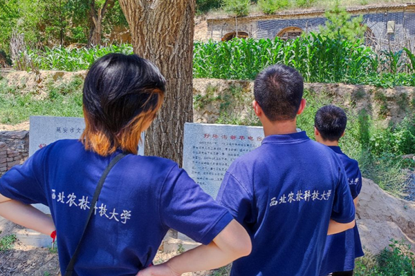 9c4fb1640a0a4a19b4b204cc1b1d8007.png 图片11.png