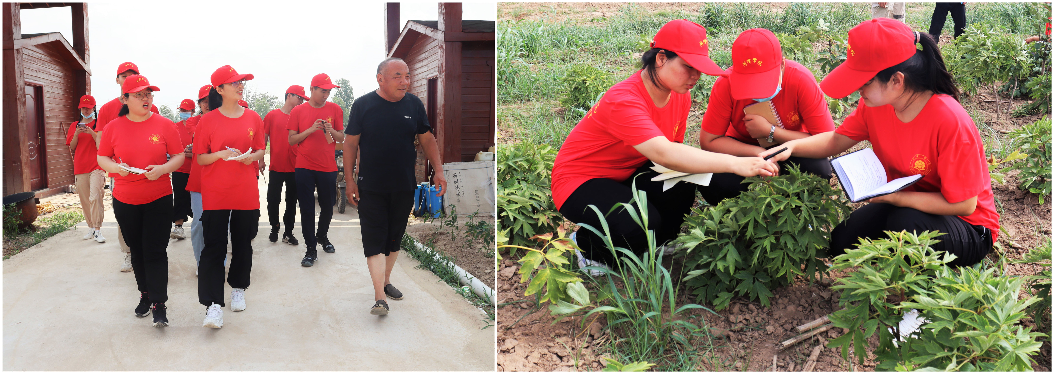 111111.jpg 111111.jpg