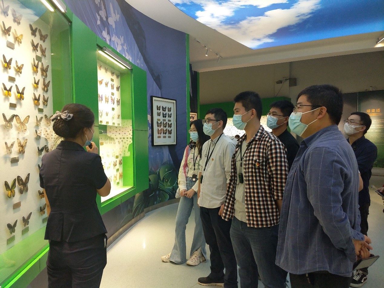 33333333333333.jpg 33333333333333.jpg