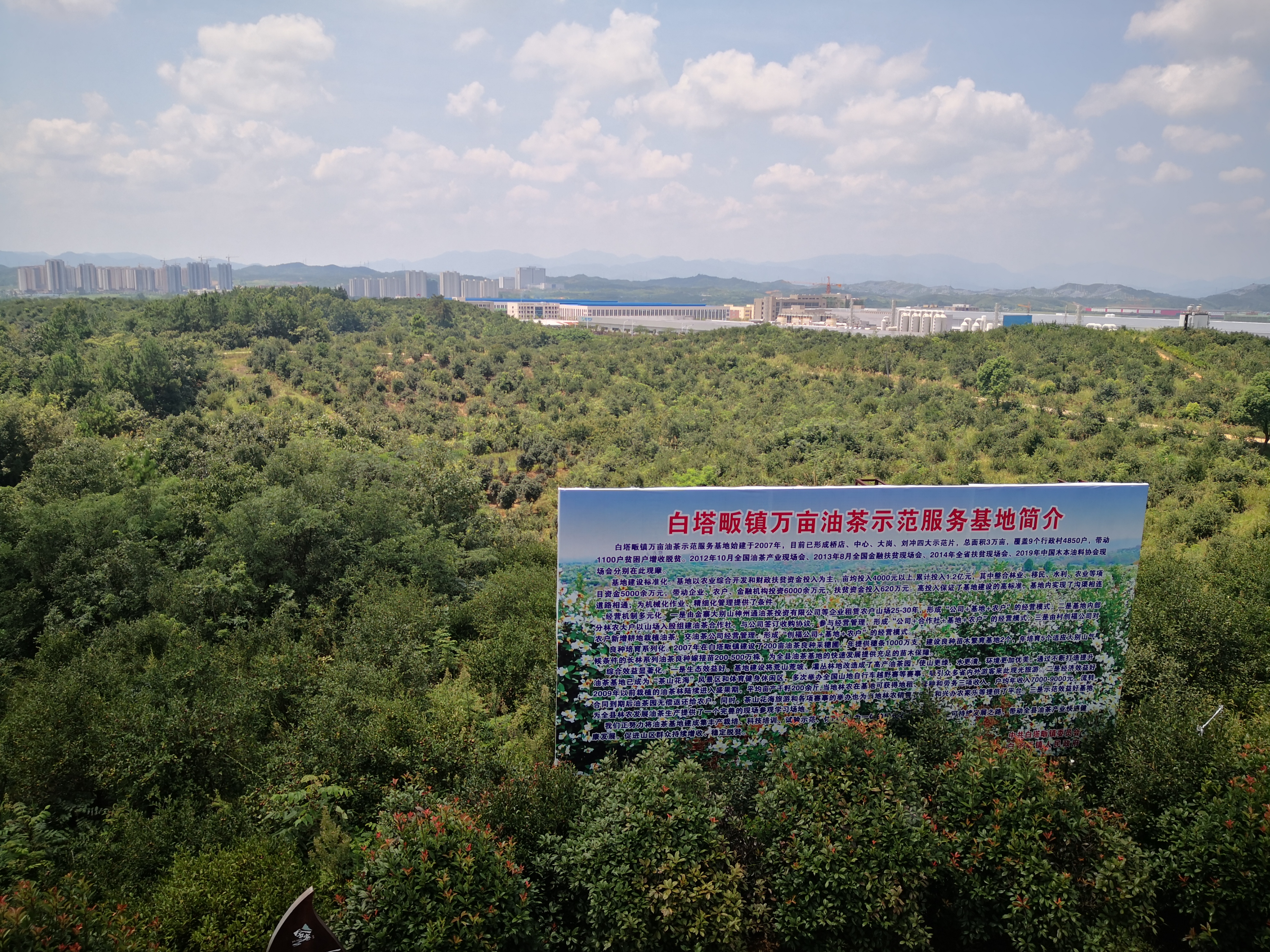 IMG_20210818_121025.jpg IMG_20210818_121025.jpg