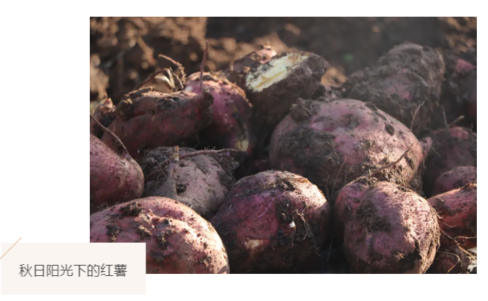 B0C`0OAXP}LH%GZTUORPO%I.png B0C`0OAXP}LH%GZTUORPO%I.png