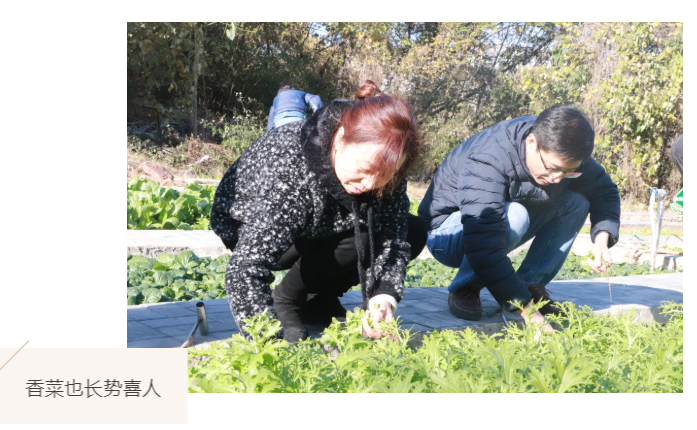 H34XP@A2X`@C5E@)FWI7}TE.png H34XP@A2X`@C5E@)FWI7}TE.png