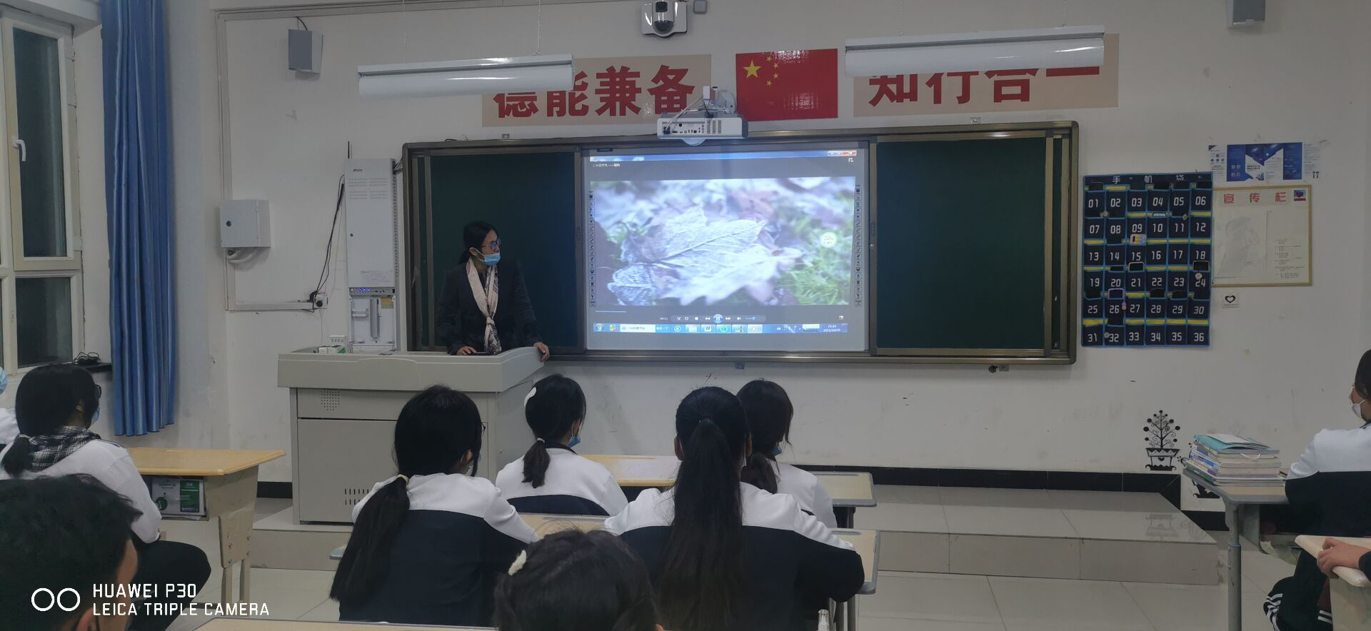 图片1.png 图片1.png