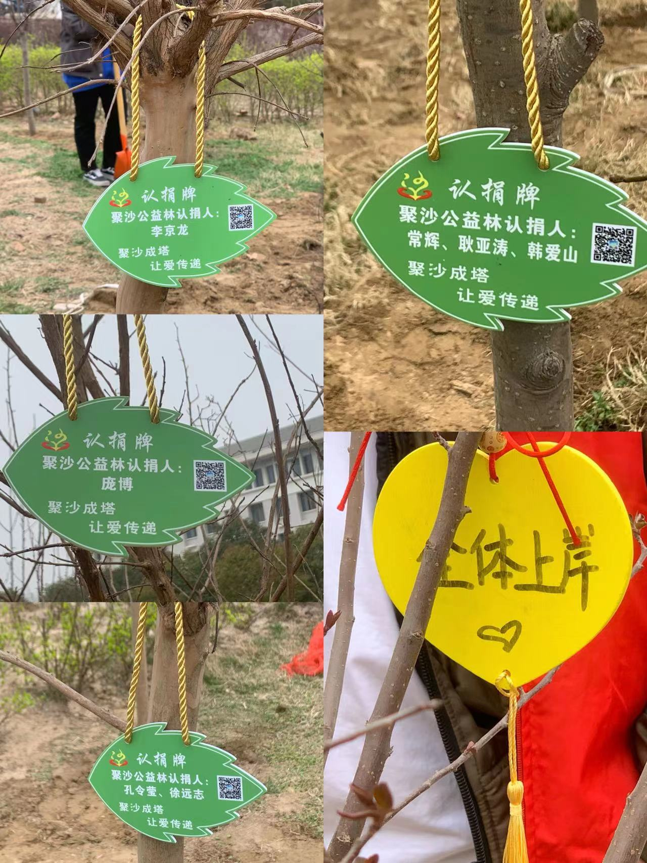 图片5.png 图片5.png