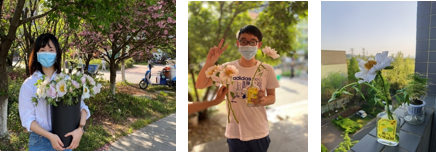 1651029112(1).png 1651029112(1).png