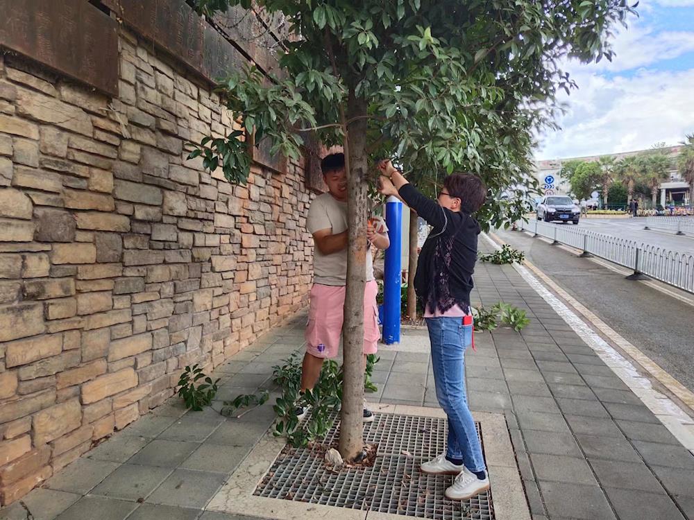 daee490aa8af4774a5805353b7625373.Jpeg daee490aa8af4774a5805353b7625373.Jpeg