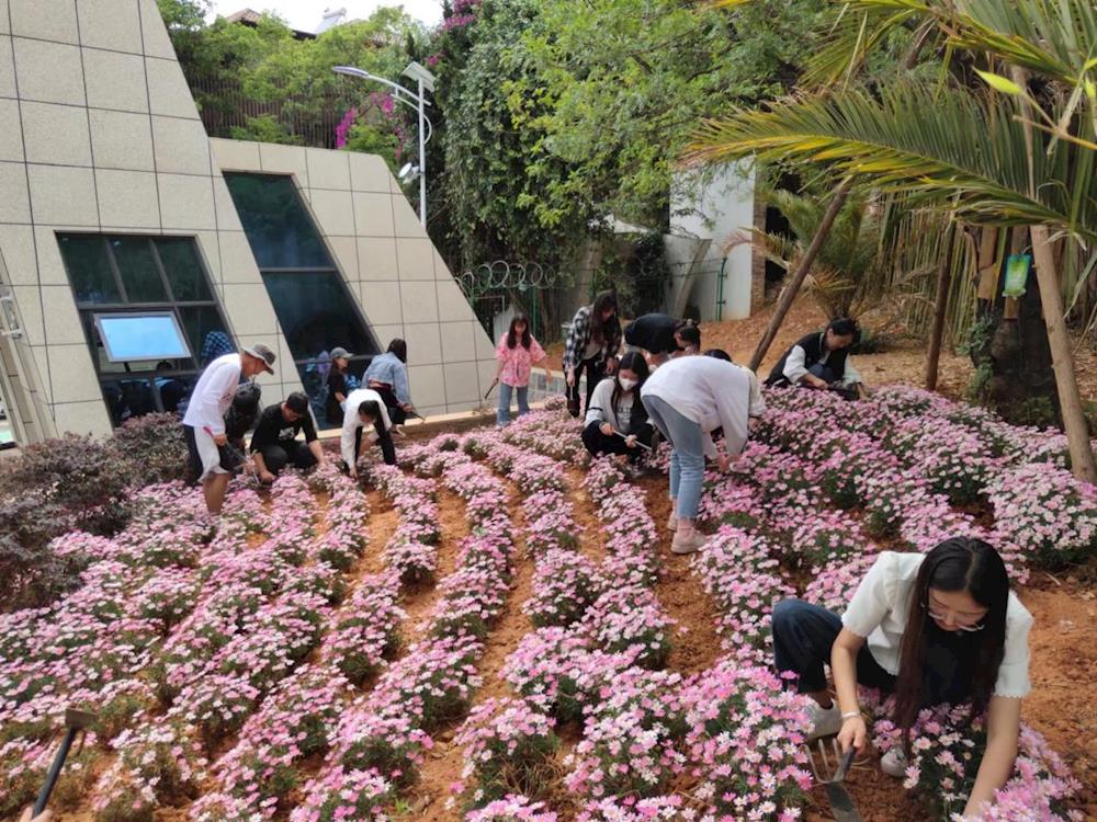 cf9c3d803e234e2eb4c7aa126f345886.Jpeg cf9c3d803e234e2eb4c7aa126f345886.Jpeg