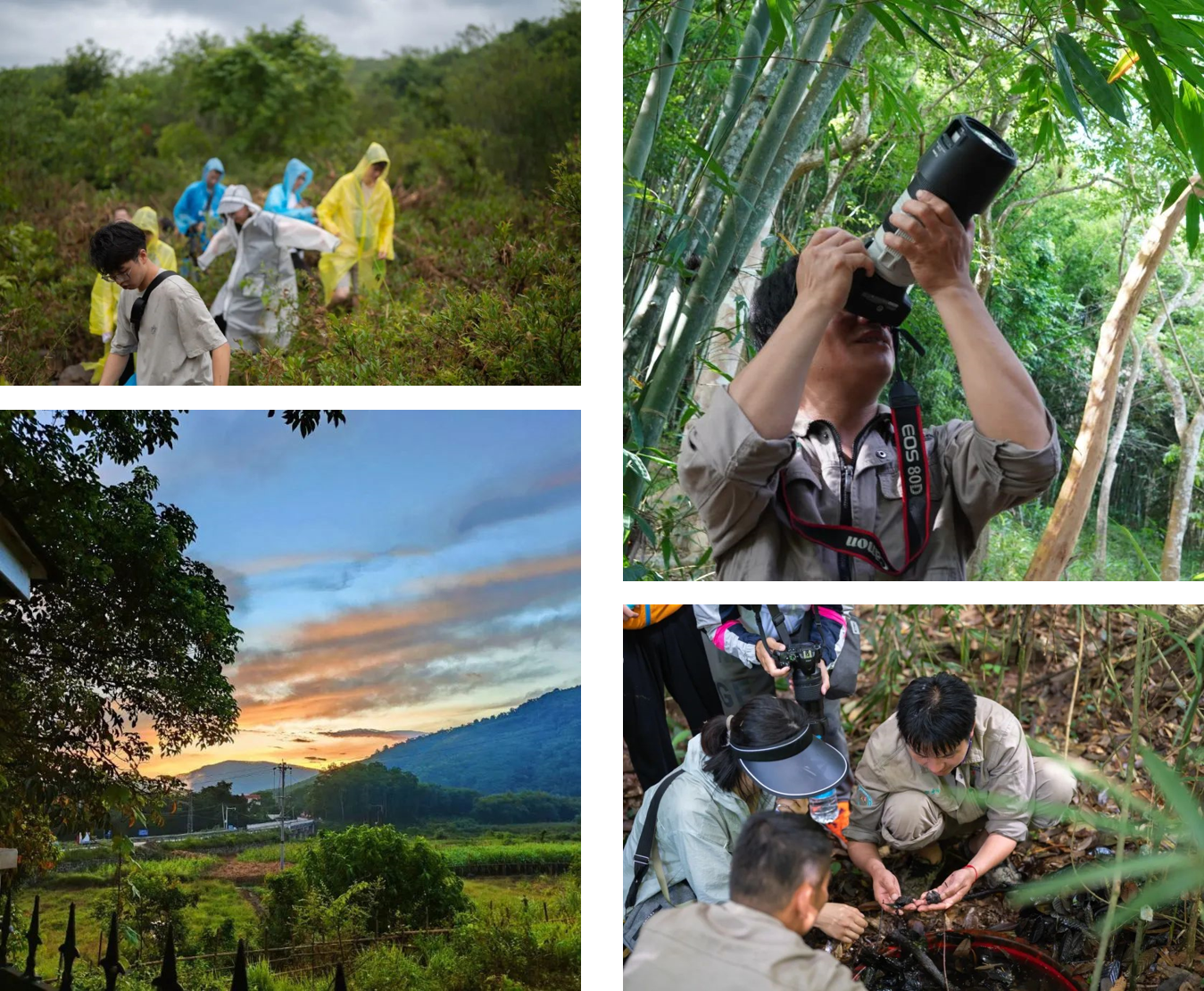 图片7.png 图片7.png