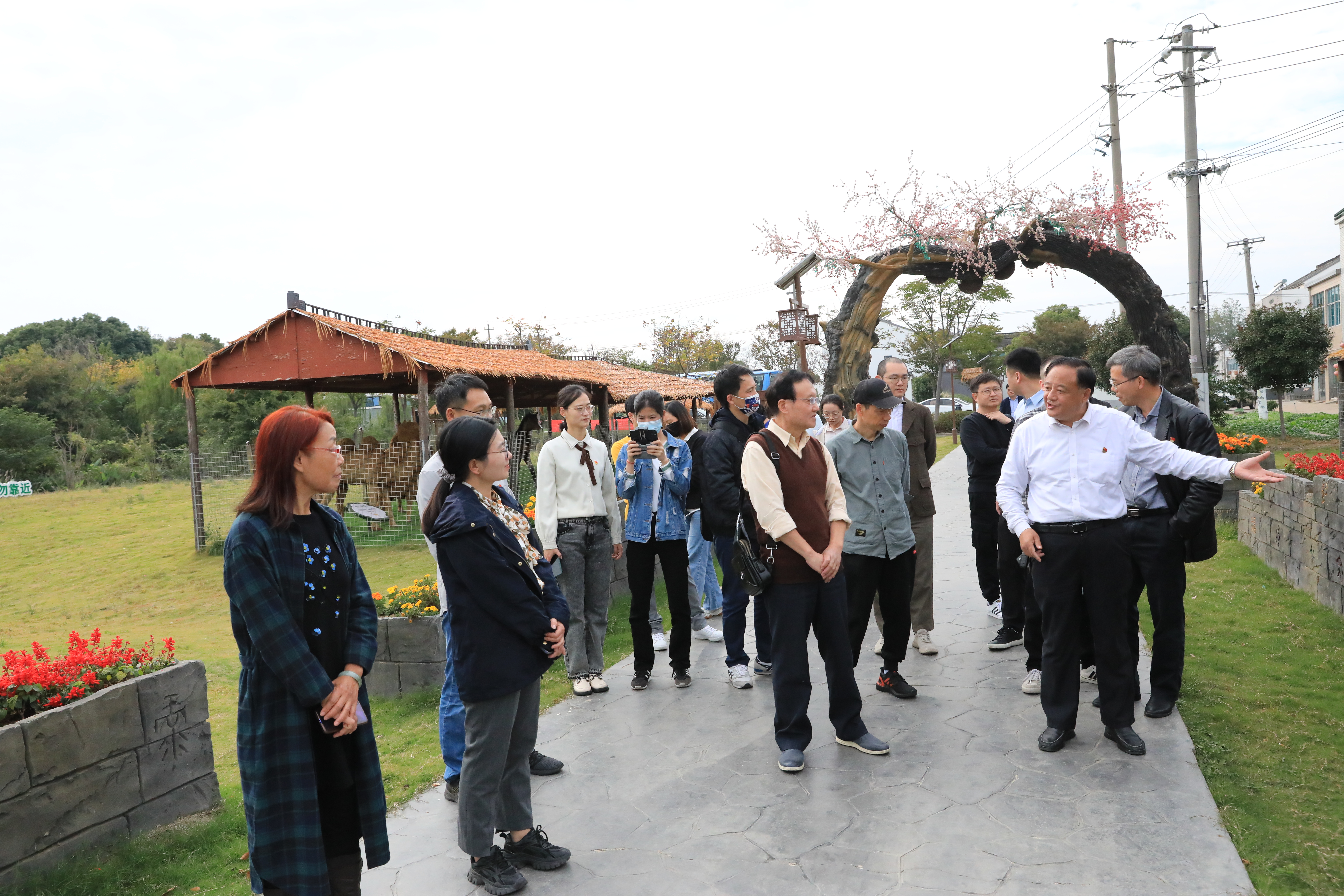 CO2A9476.JPG CO2A9476.JPG