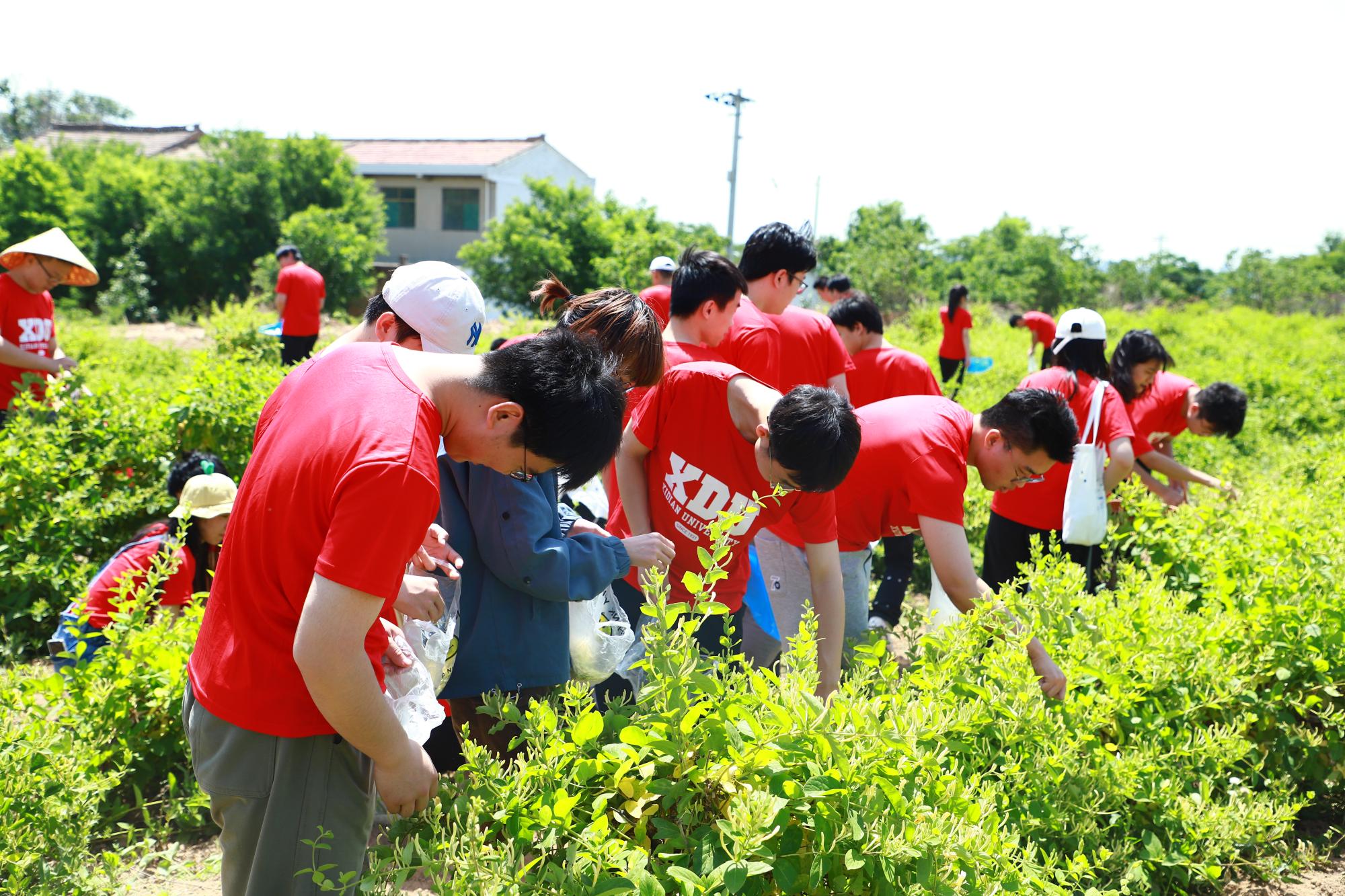 IMG_3587.JPG IMG_3587.JPG