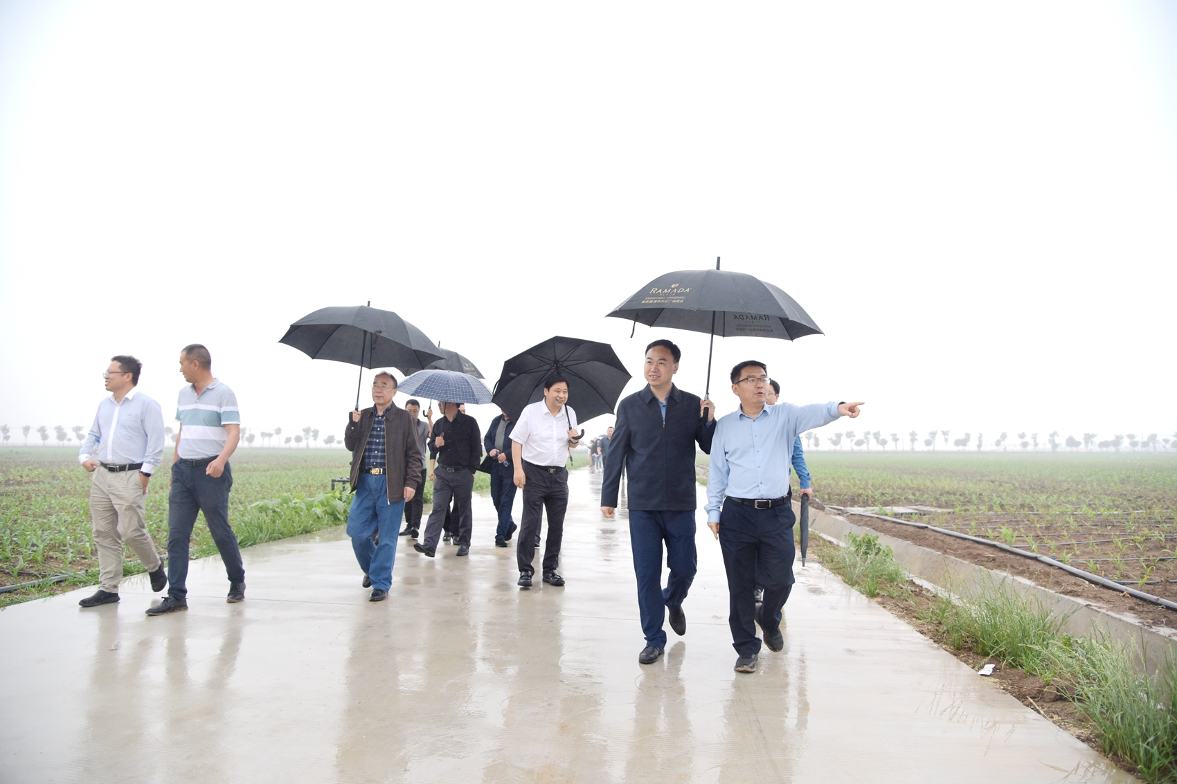 1685327684359.jpg 1685327684359.jpg