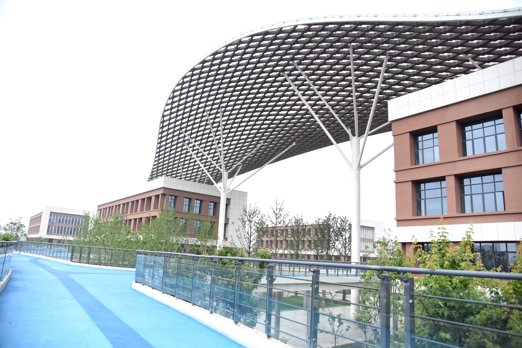 1685327818347.jpg 1685327818347.jpg