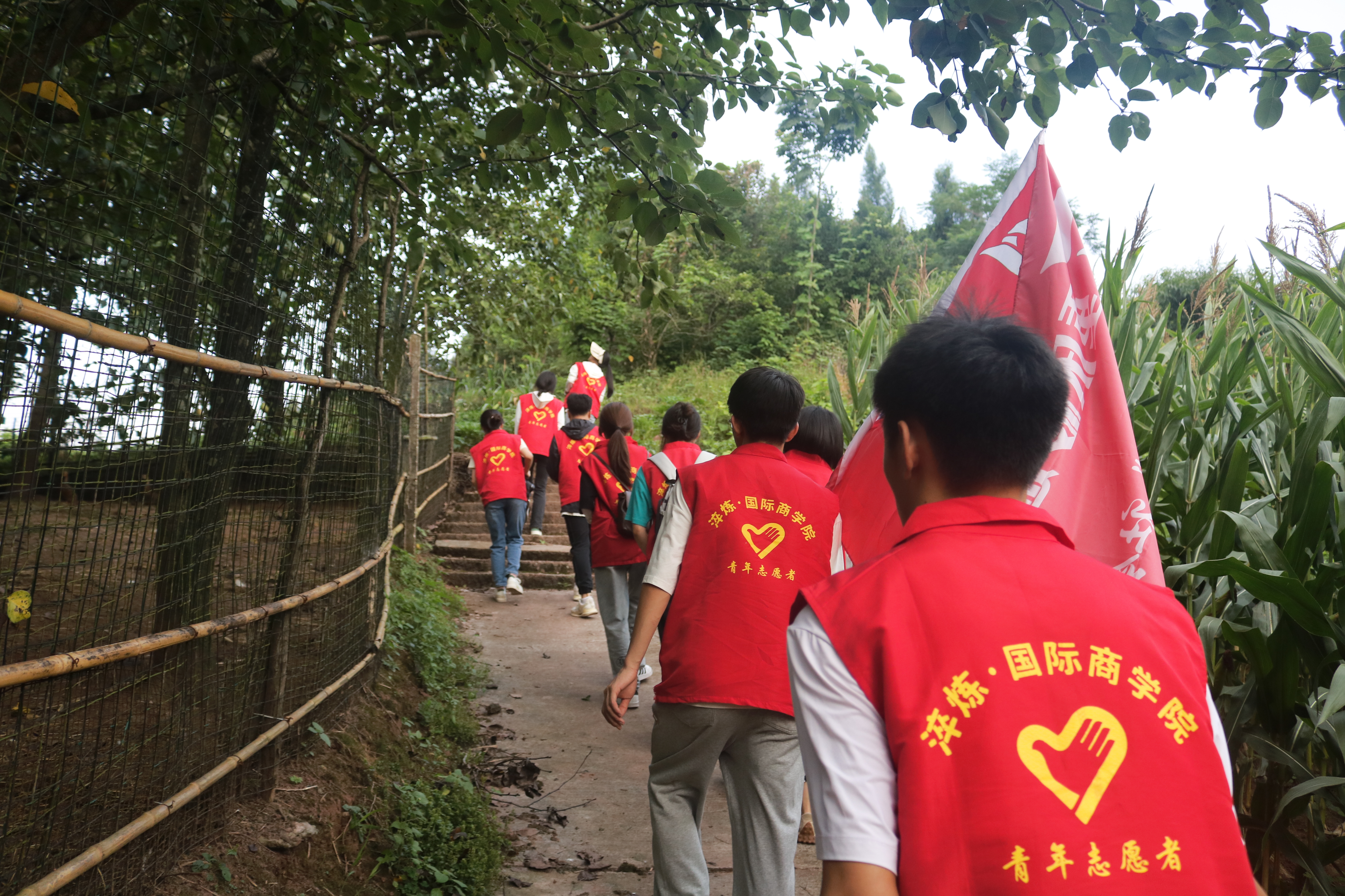 图片二.png 图片二.png