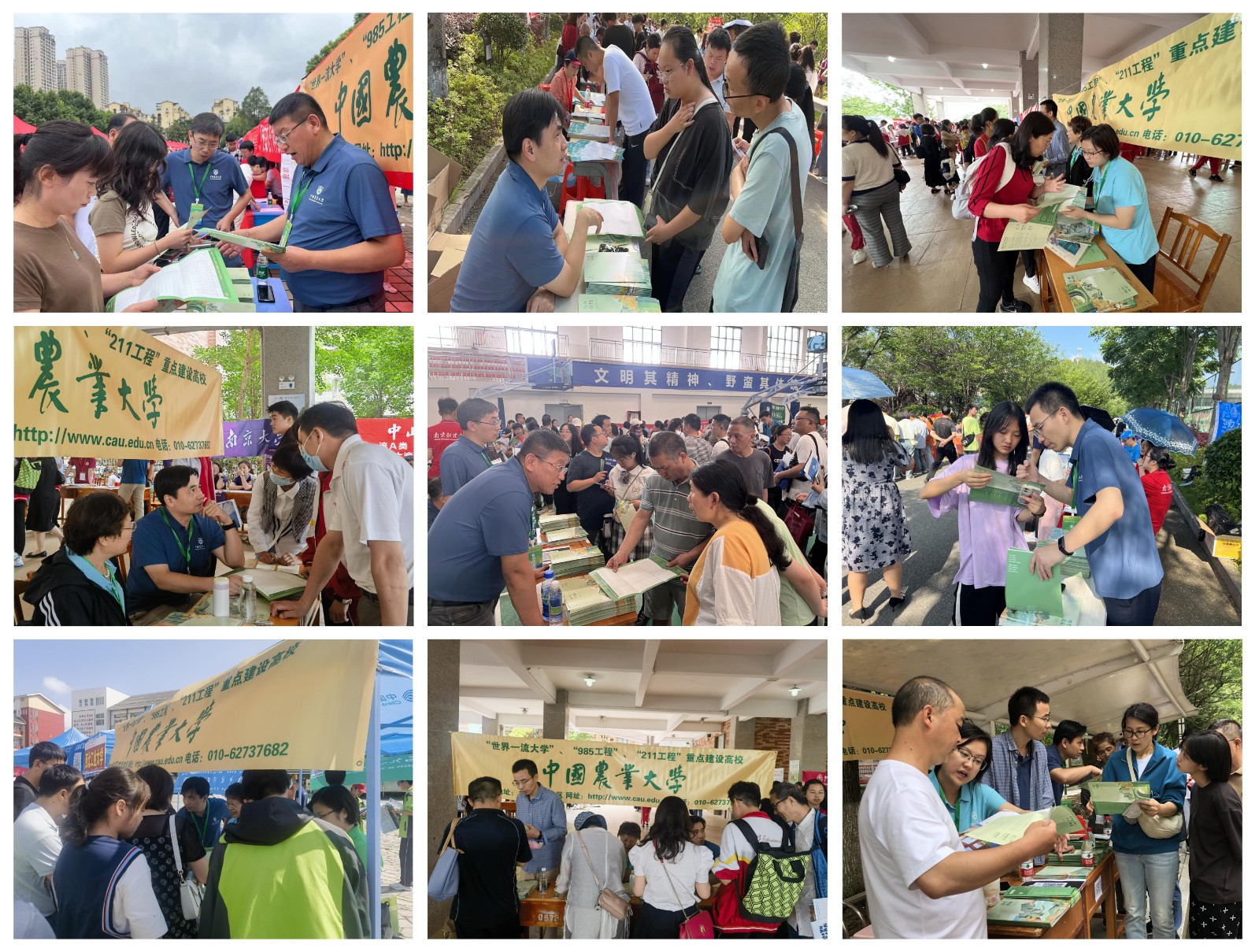 1688202673806048467.jpg 3.jpg