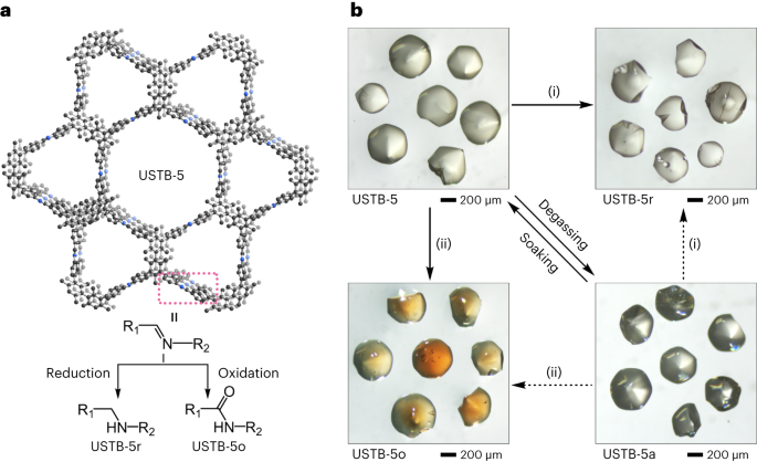 640 (2).png 640 (2).png