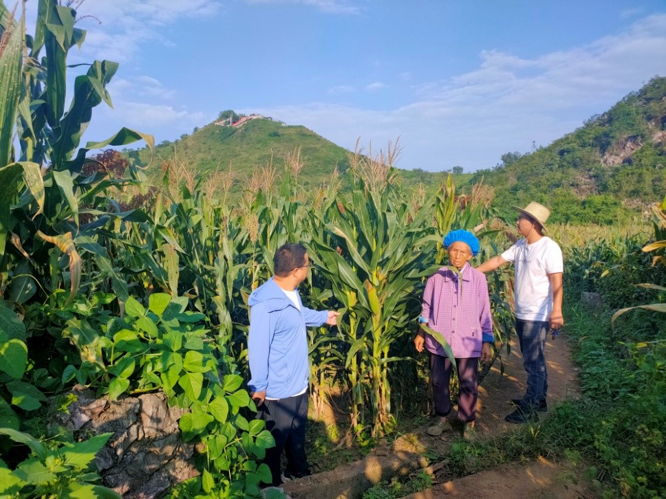 图1 向远林指导长田镇陇塔村农田水利设施建设.jpg 图1 向远林指导长田镇陇塔村农田水利设施建设.jpg