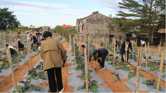 1700214125550.jpg 1700214125550.jpg